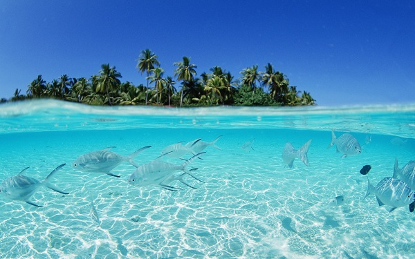Bãi Biển Maldives Bãi Biển Maldives