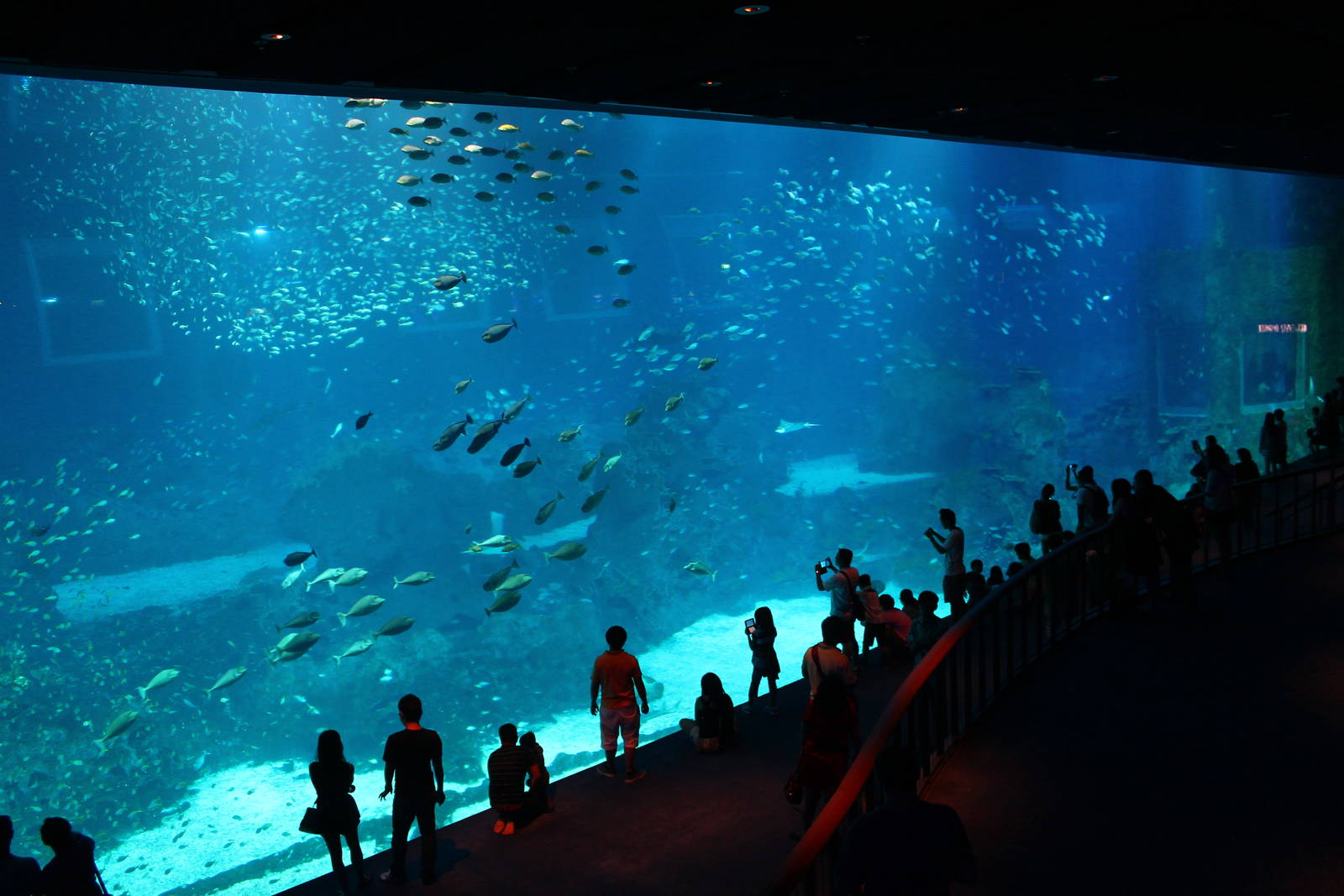 Công viên SEA Aquarium Singapore Công viên SEA Aquarium Singapore