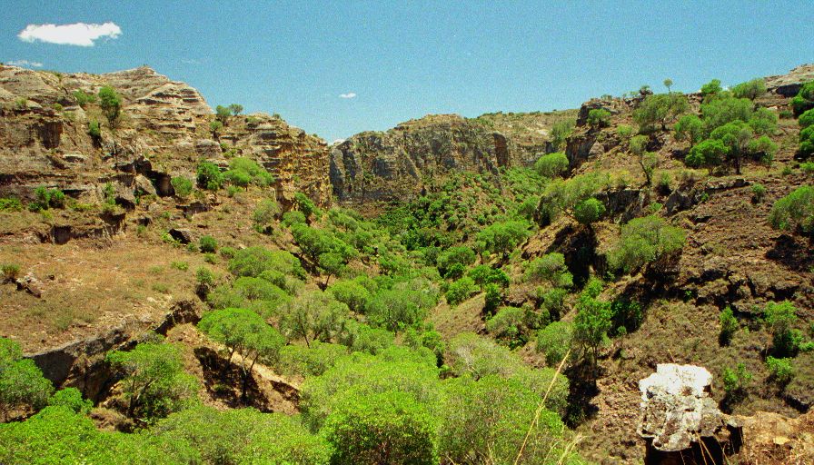 Công viên quốc gia Isalo (Isalo National Park) Công viên quốc gia Isalo (Isalo National Park)