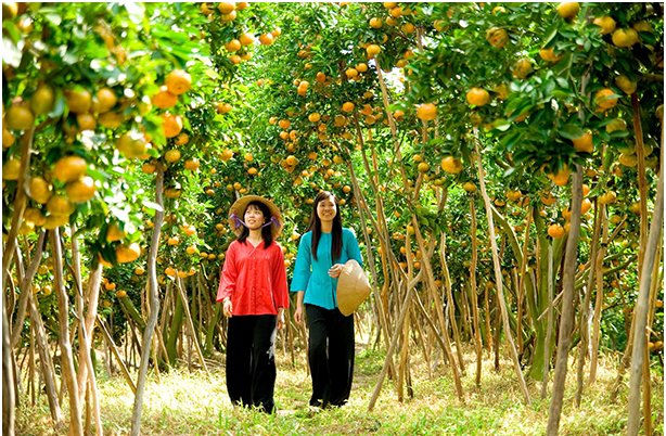 Miệt vườn Miệt vườn