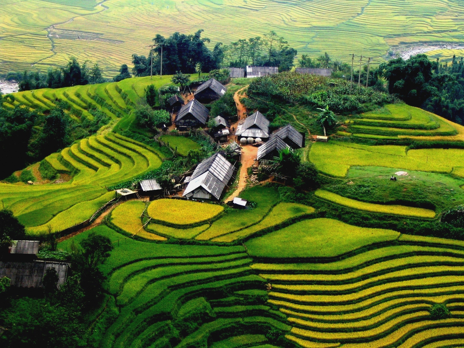 Sa Pa Sa Pa