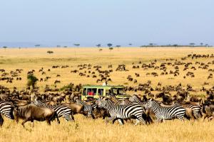 Tour du lịch Châu Phi: Hồ Chí Minh - Kenya - Thiên nhiên hoang dã Châu Phi - Hồ Chí Minh