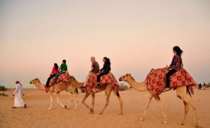Tour du lịch Dubai: Hồ Chí Minh - Dubai - Abu Dhabi - Hồ Chí Minh