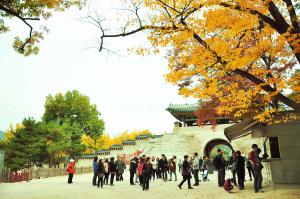 Tour du lịch Hàn Quốc: Hồ Chí Minh - Seoul - Đảo JeJu - Công viên Everland - Hồ Chí Minh