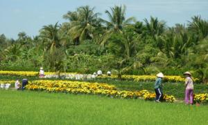 Du lịch Đồng Bằng Sông Cửu Long: Sài Gòn - Tiền Giang - Cần Thơ - Long Xuyên - Châu Đốc - Hà Tiên